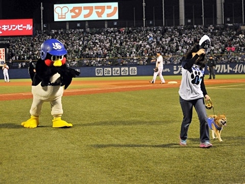 後ろから
