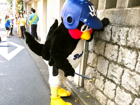 隅々まで綺麗に掃除 | フォトギャラリー | 東京ヤクルトスワローズ