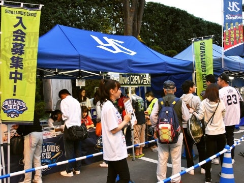 2020 Swallows CREW入会開始！