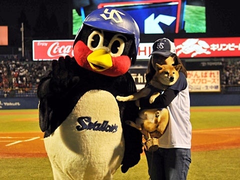 わさびの前足に注目